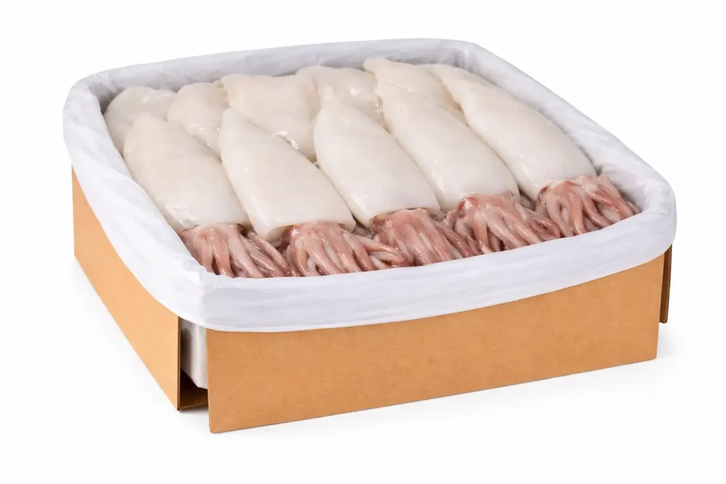 Calmar tube tentacules